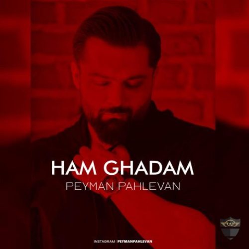پیمان پهلوان - همقدم