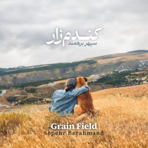 سپهر برهمند - گندم زار