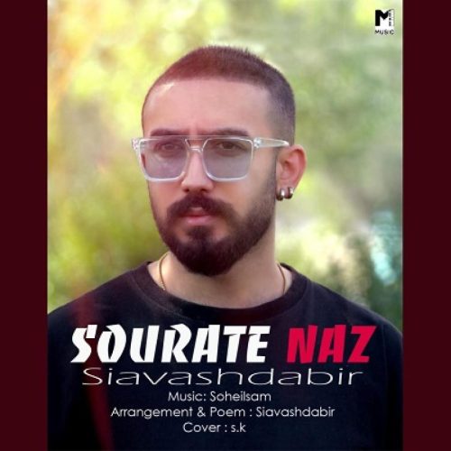 سیاوش دبیر - صورت ناز