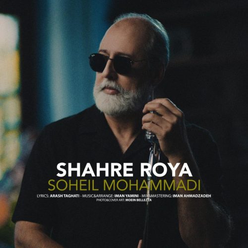 سهیل محمدی - شهر رویا
