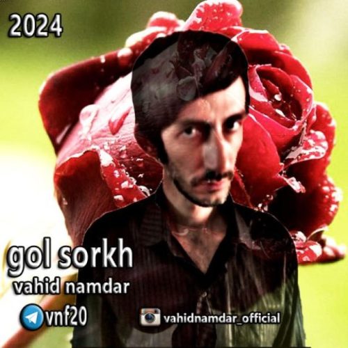 وحید نامدار - گل سرخ