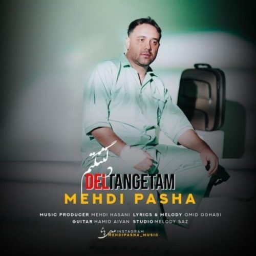 مهدی پاشا - دلتنگتم