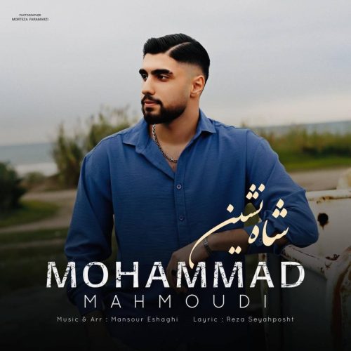 محمد محمودی - شاه نشین