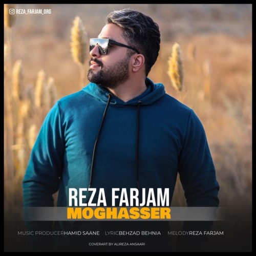 رضا فرجام - مقصر
