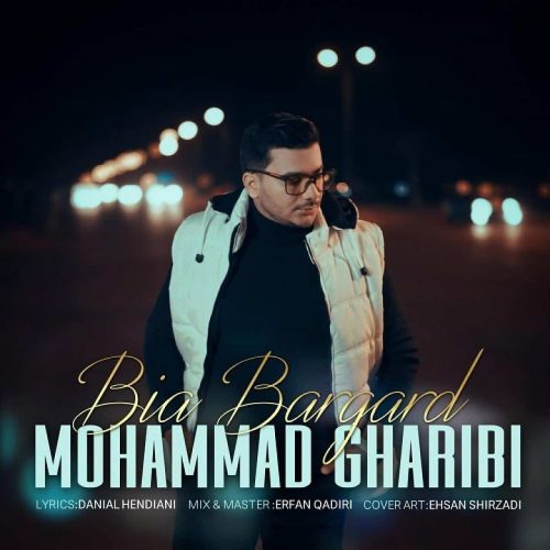 محمد غریبی - بیا برگرد