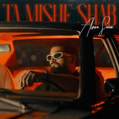 علیرضا سام - تا میشه شب
