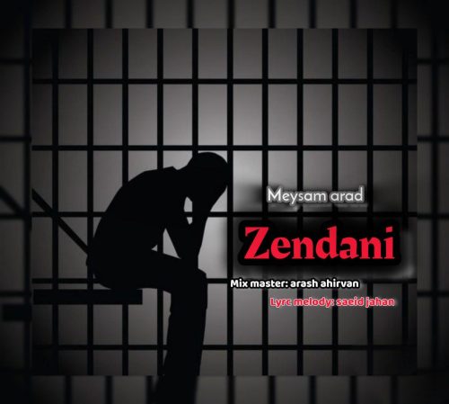 میثم آراد - زندانی