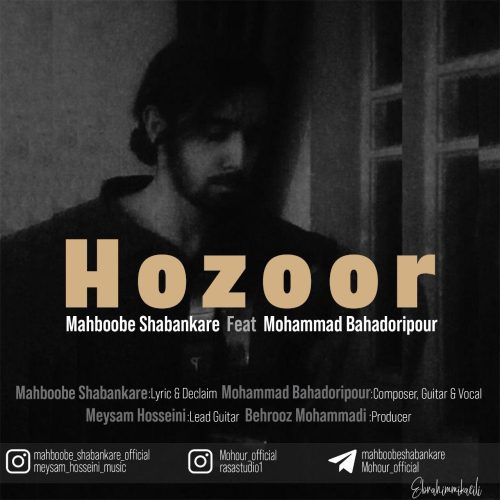 محمد بهادری پور - حضور