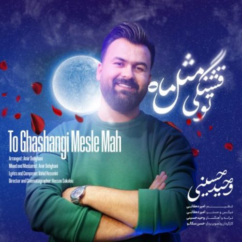 وحید حسینی - تو قشنگی مثل ماه
