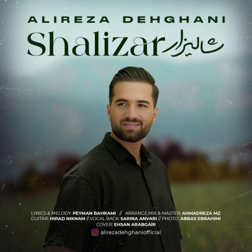 علیرضا دهقانی - شالیزار