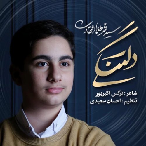 محمدطاها اعتمادی - دلتنگی