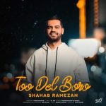کاور آهنگ تو دل برو از شهاب رمضان