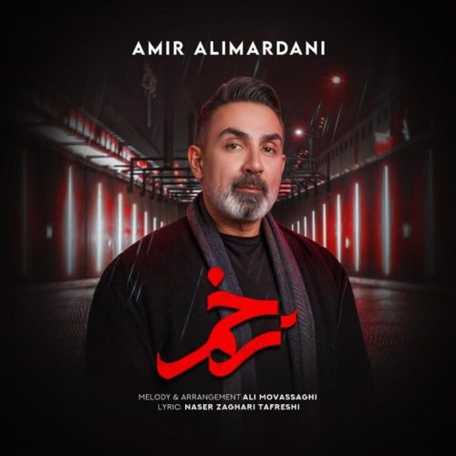 امیر علیمردانی - زخم