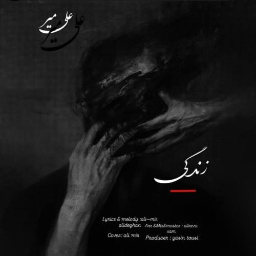 علی میر - زندگی