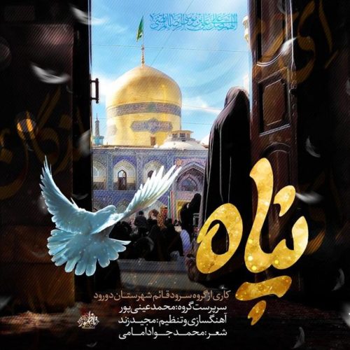 محمد عینی پور - پناه