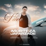 کاور آهنگ فاصله ها از مرتضی جعفرزاده