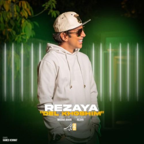 رضایا - دلخوشیم