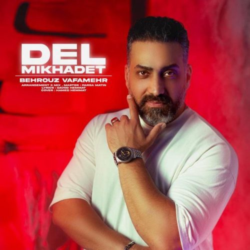 بهروز وفامهر - دل میخوادت