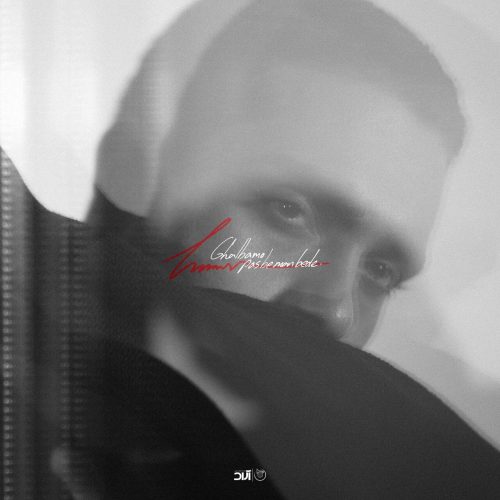 حامیم - قلبمو پس به من بده