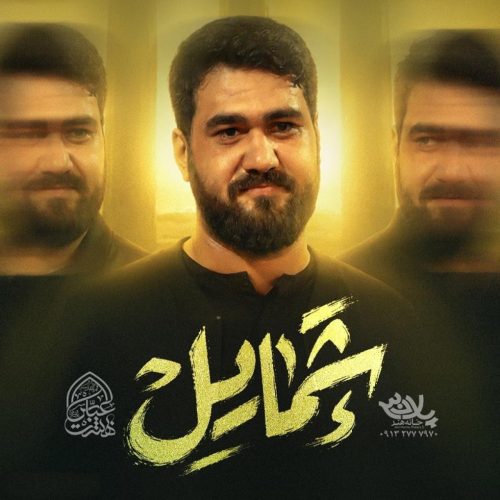 حسن عطایی - شمایل