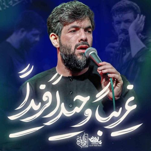 حسین ستوده - غریبا وحیدا فریدا