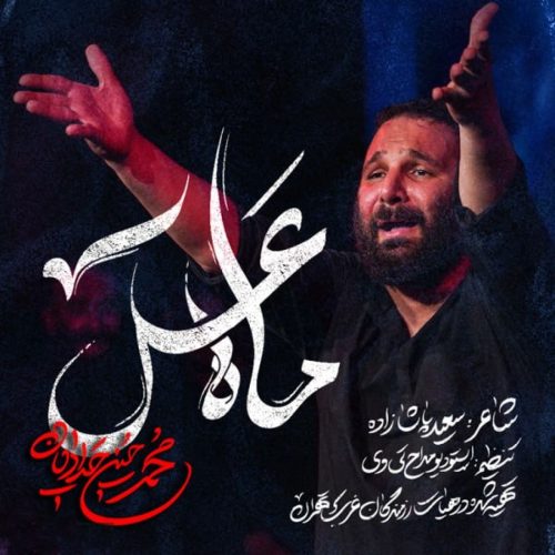 محمد حسین حدادیان - ماه عسل