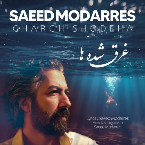 سعید مدرس - غرق شده ها