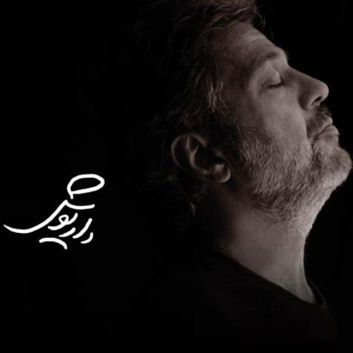 داریوش چکاوک