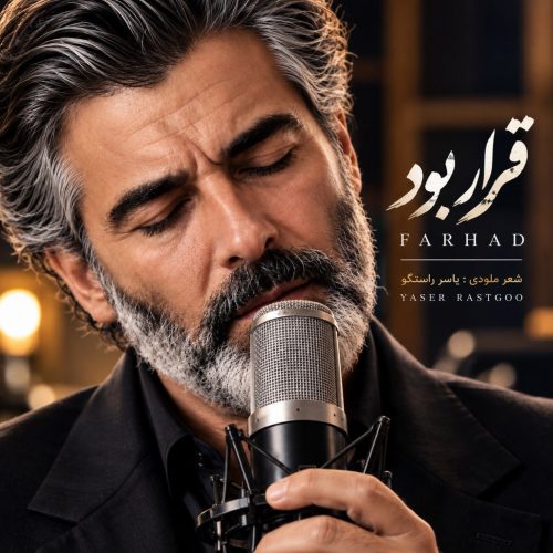 فرهاد قرار بود یه طور دیگه باهم تا کنیم عشقم