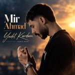 کاور آهنگ یادت کردم از میر احمد