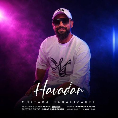 مجتبی نادعلی زاده هوادار